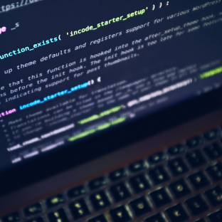 System Integrators & Technology Consultants